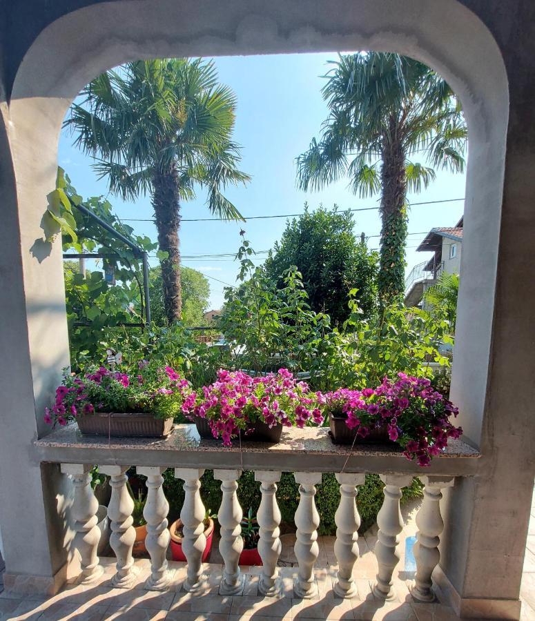 Apartman Palma Marinici  Екстериор снимка